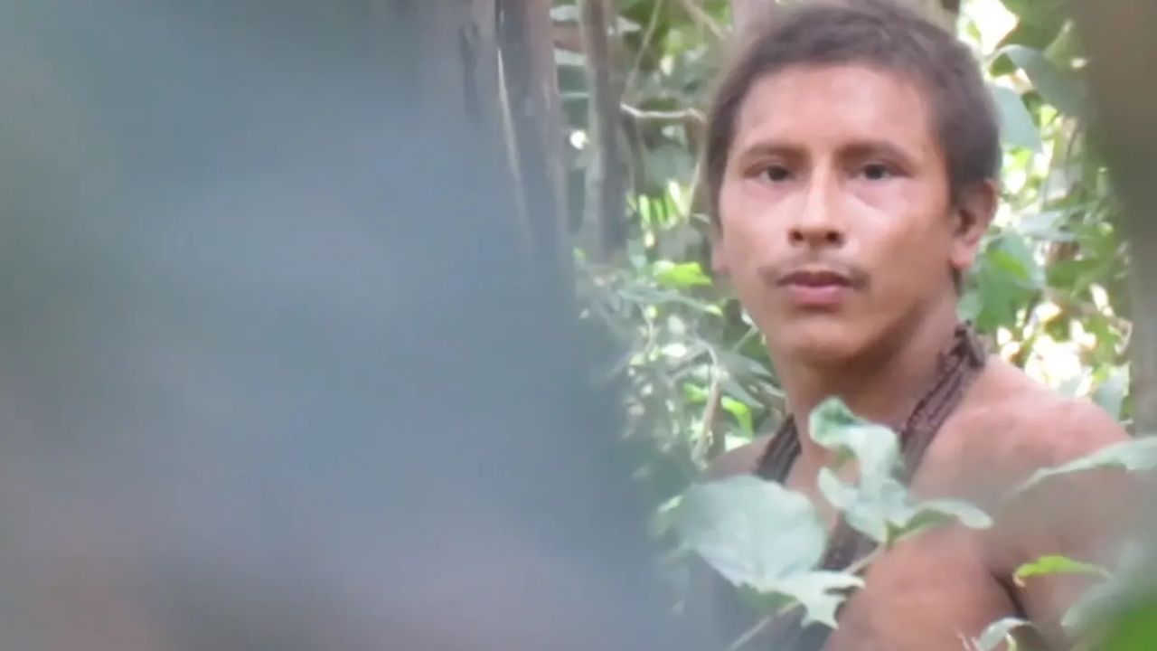 Mashco Piro Tribe Faces New Threats from Expanding Logging Activities
